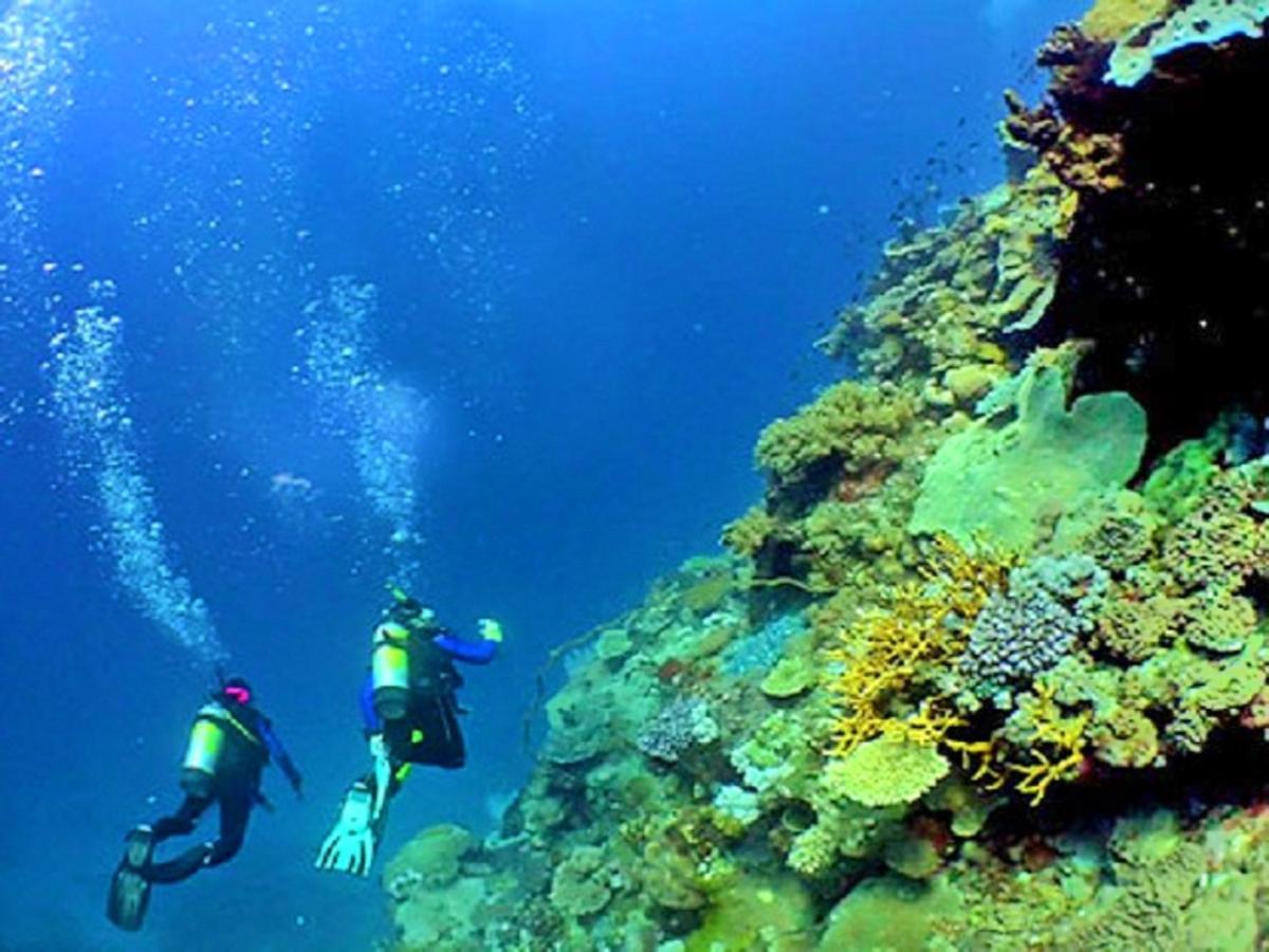 V4, Villa Jardins Branqueira2 Near Beach, البوفيرا المظهر الخارجي الصورة